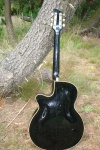 framus black rose 017.JPG