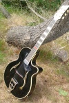 framus black rose 018.JPG